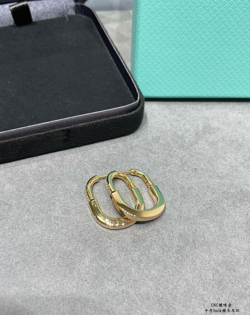 T*f*ny earrings